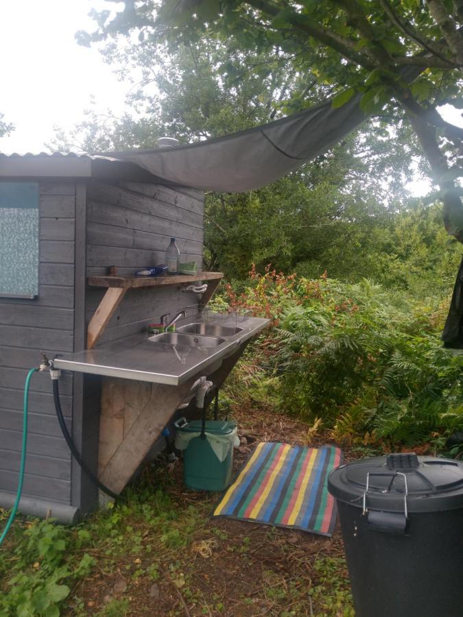 Blackberry Patch Hotel Pontyates Екстериор снимка