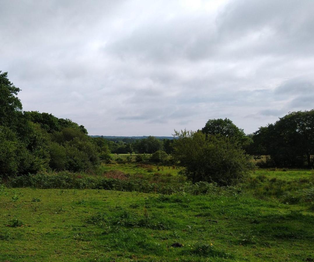 Blackberry Patch Hotel Pontyates Екстериор снимка