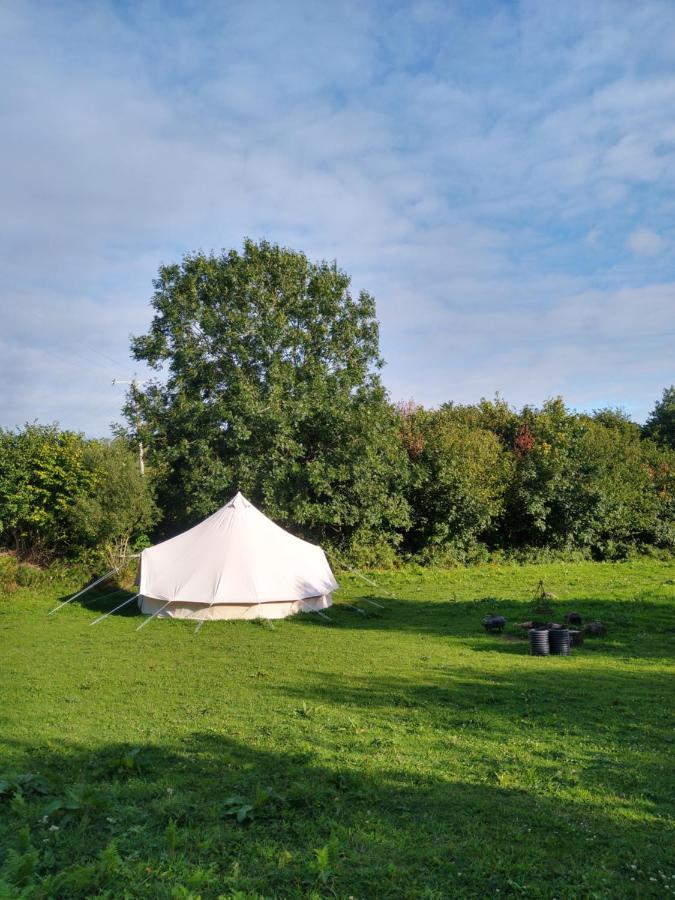 Blackberry Patch Hotel Pontyates Екстериор снимка